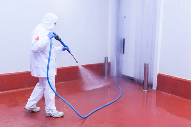 Best Building Exterior Washing  in Dano, CO
